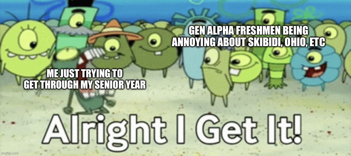 Annoying | GEN ALPHA FRESHMEN BEING ANNOYING ABOUT SKIBIDI, OHIO, ETC; ME JUST TRYING TO GET THROUGH MY SENIOR YEAR | image tagged in alright i get it,gen alpha,high school,students | made w/ Imgflip meme maker