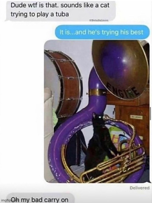 You all have been blessed by the tuba cat | made w/ Imgflip meme maker