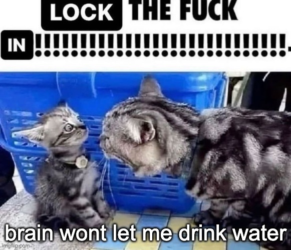 HEY YOU FUCKING DIPSHIT, WE'RE GONNA FUCKING DIE | brain wont let me drink water | image tagged in lock the fuck in | made w/ Imgflip meme maker