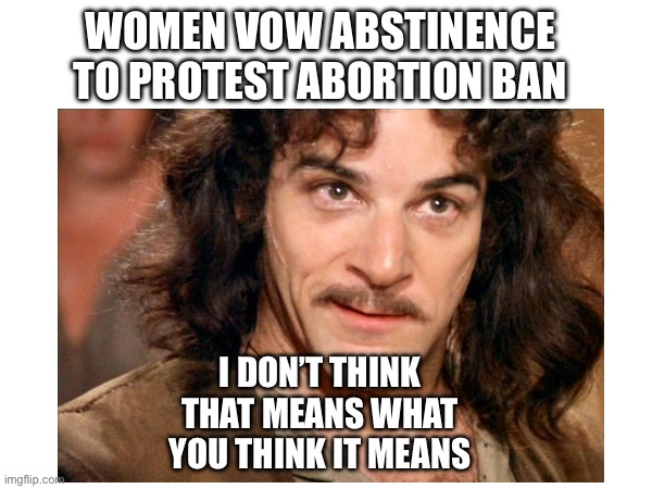 Celibate | WOMEN VOW ABSTINENCE TO PROTEST ABORTION BAN; I DON’T THINK THAT MEANS WHAT YOU THINK IT MEANS | image tagged in inigo montoya | made w/ Imgflip meme maker