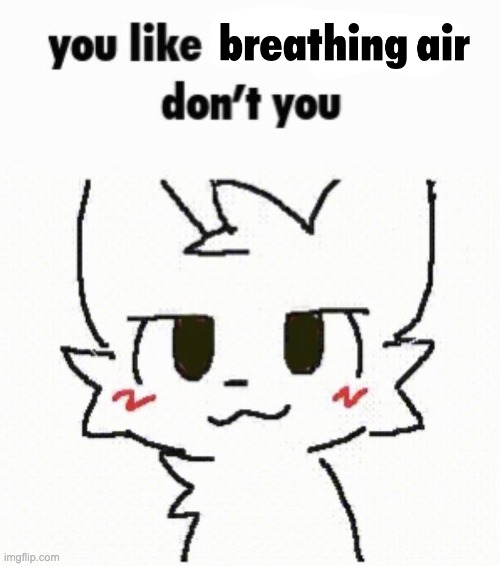 silly little air breather :3 | image tagged in b | made w/ Imgflip meme maker