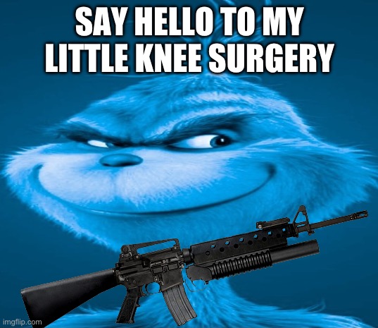 Blue Grinch | SAY HELLO TO MY LITTLE KNEE SURGERY | image tagged in blue grinch | made w/ Imgflip meme maker