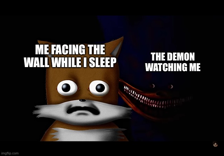 Put title here | ME FACING THE WALL WHILE I SLEEP; THE DEMON WATCHING ME | image tagged in shin sonic and tails | made w/ Imgflip meme maker