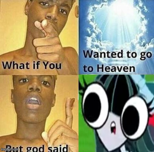 He says HUH and looks like a girl fly with a pretty bow | image tagged in what if you wanted to go to heaven,huh,excuse me what the heck,gasp,certified bruh moment,roflmao | made w/ Imgflip meme maker