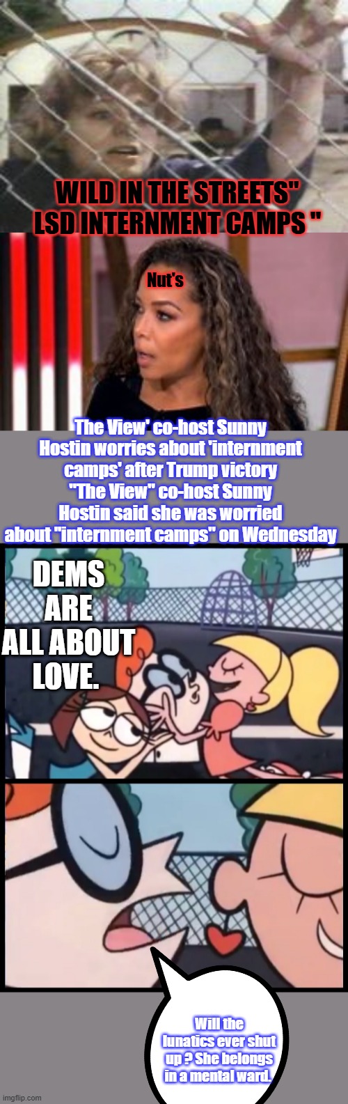 WILD IN THE STREETS"  LSD INTERNMENT CAMPS "; Nut's; The View' co-host Sunny Hostin worries about 'internment camps' after Trump victory "The View" co-host Sunny Hostin said she was worried about "internment camps" on Wednesday; DEMS ARE ALL ABOUT LOVE. Will the lunatics ever shut up ? She belongs in a mental ward. | image tagged in memes,say it again dexter | made w/ Imgflip meme maker