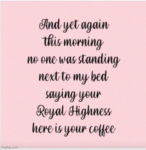 Royal Highness | image tagged in royal highness,coffee,nobody,funny,morning | made w/ Imgflip meme maker