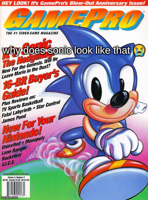 why does sonic look like that 😭 | made w/ Imgflip meme maker