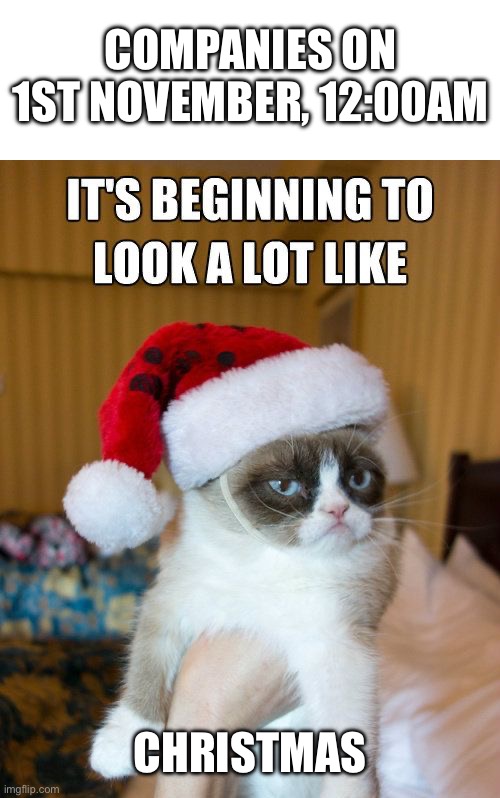 she’s defrosting | COMPANIES ON 1ST NOVEMBER, 12:00AM; CHRISTMAS | image tagged in its beginning to look at lot like,memes,shops,company,christmas | made w/ Imgflip meme maker