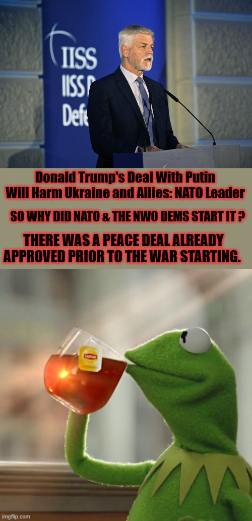 They never tell the truth but they always forget the facts. | Donald Trump's Deal With Putin Will Harm Ukraine and Allies: NATO Leader; SO WHY DID NATO & THE NWO DEMS START IT ? THERE WAS A PEACE DEAL ALREADY APPROVED PRIOR TO THE WAR STARTING. | image tagged in memes,but that's none of my business | made w/ Imgflip meme maker