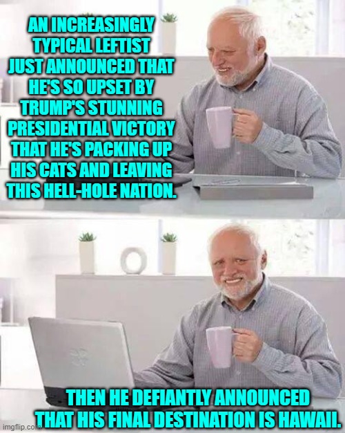 Leftist beta-males are going to 'think' through their problems.  Yep! | AN INCREASINGLY TYPICAL LEFTIST JUST ANNOUNCED THAT HE'S SO UPSET BY TRUMP'S STUNNING PRESIDENTIAL VICTORY THAT HE'S PACKING UP HIS CATS AND LEAVING THIS HELL-HOLE NATION. THEN HE DEFIANTLY ANNOUNCED THAT HIS FINAL DESTINATION IS HAWAII. | image tagged in hide the pain harold | made w/ Imgflip meme maker