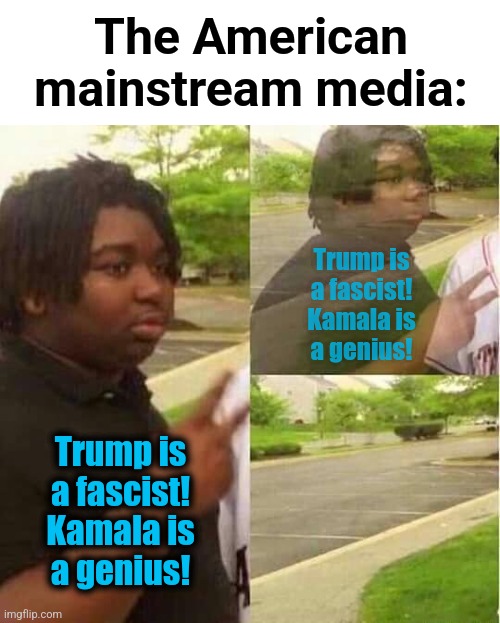 The MSM now matters only to moonbat loons, and is unsustainable | The American
mainstream media:; Trump is
a fascist!
Kamala is
a genius! Trump is
a fascist!
Kamala is
a genius! | image tagged in disappearing,mainstream media,memes,democrats,credibility,loons | made w/ Imgflip meme maker