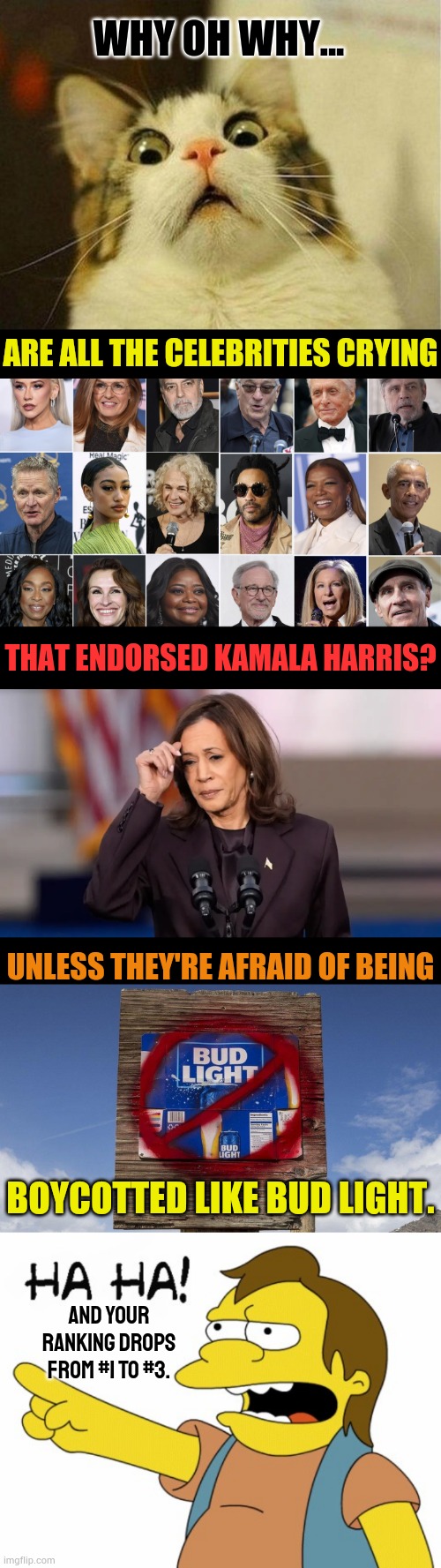 It Really Makes You Wonder | WHY OH WHY... ARE ALL THE CELEBRITIES CRYING; THAT ENDORSED KAMALA HARRIS? UNLESS THEY'RE AFRAID OF BEING; BOYCOTTED LIKE BUD LIGHT. AND YOUR RANKING DROPS FROM #1 TO #3. | image tagged in memes,scared cat,ha ha,politics,boycott hollywood,kamala harris | made w/ Imgflip meme maker