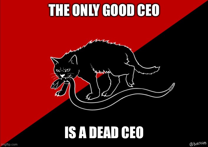 Only good CEO | THE ONLY GOOD CEO; IS A DEAD CEO | image tagged in sabo cat with snake,communism,anarchism | made w/ Imgflip meme maker