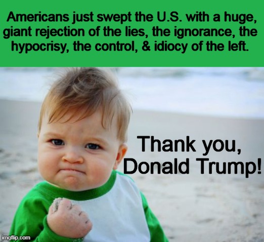 Americans just swept the U.S. with a huge,
giant rejection of the lies, the ignorance, the 
hypocrisy, the control, & idiocy of the left. Thank you, 
Donald Trump! | image tagged in donald trump approves,success kid,donald trump,freedom,american values,free speech | made w/ Imgflip meme maker