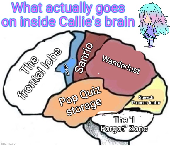 I'll Do More of the OGs in the Future | What actually goes on inside Callie's brain; Wanderlust; Sanrio; The frontal lobe; An ego; Pop Quiz storage; Speech Process-inator; The "I Forgot" Zone | image tagged in actual image of the inside of my brain | made w/ Imgflip meme maker