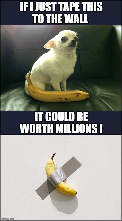 Conceptual Art Dog Has A Plan ! | IF I JUST TAPE THIS
TO THE WALL; IT COULD BE WORTH MILLIONS ! | image tagged in dogs,banana,conceptual art | made w/ Imgflip meme maker