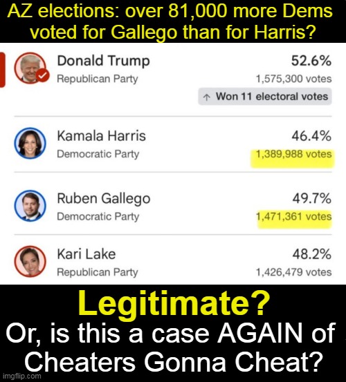 Cheaters Gonna Cheat AGAIN? | AZ elections: over 81,000 more Dems 
voted for Gallego than for Harris? Legitimate? Or, is this a case AGAIN of 
Cheaters Gonna Cheat? | image tagged in kari lake,arizona,elections,cheaters,cheating,here we go again | made w/ Imgflip meme maker