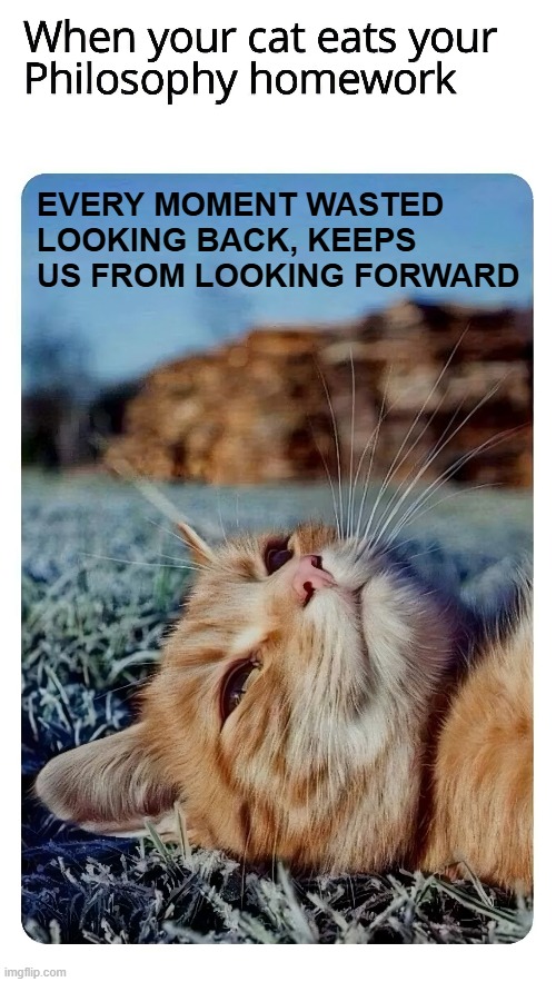 cat philosopher | EVERY MOMENT WASTED LOOKING BACK, KEEPS US FROM LOOKING FORWARD | image tagged in cats,philosophy | made w/ Imgflip meme maker