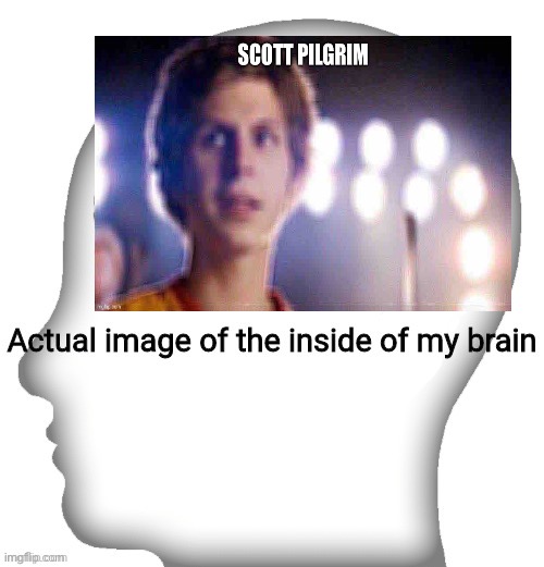 Actual image of the inside of my brain | image tagged in actual image of the inside of my brain | made w/ Imgflip meme maker