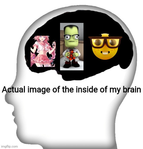 Actual image of the inside of my brain | image tagged in actual image of the inside of my brain | made w/ Imgflip meme maker