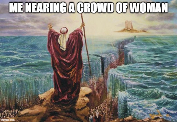 Moses | ME NEARING A CROWD OF WOMAN | image tagged in moses | made w/ Imgflip meme maker