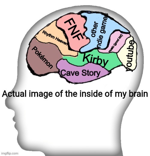 and men- *gets hit in the rib cage with a metal bar* | other indie games; FNF; Rhythm Heaven; music (good kid); Pokémon; YouTube; Kirby; Cave Story | image tagged in actual image of the inside of my brain | made w/ Imgflip meme maker