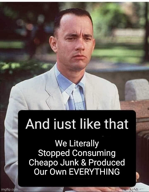 Tariffs = MAGA Wins | We Literally Stopped Consuming Cheapo Junk & Produced Our Own EVERYTHING | image tagged in and just like that,political meme,politics,funny memes,funny,tariffs | made w/ Imgflip meme maker