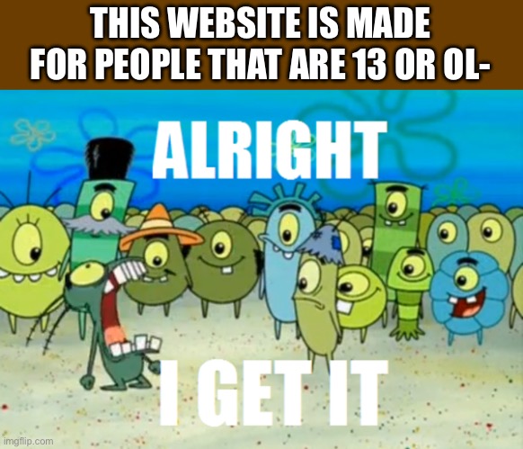 Alright I get It | THIS WEBSITE IS MADE FOR PEOPLE THAT ARE 13 OR OL- | image tagged in alright i get it | made w/ Imgflip meme maker