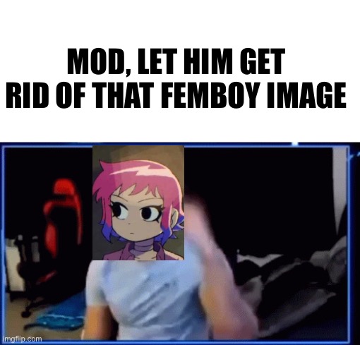 Mods ban him | MOD, LET HIM GET RID OF THAT FEMBOY IMAGE | image tagged in mods ban him | made w/ Imgflip meme maker