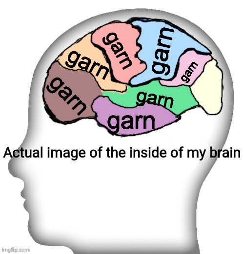 Actual image of the inside of my brain | garn; garn; garn; garn; garn; garn; garn; garn | image tagged in actual image of the inside of my brain | made w/ Imgflip meme maker