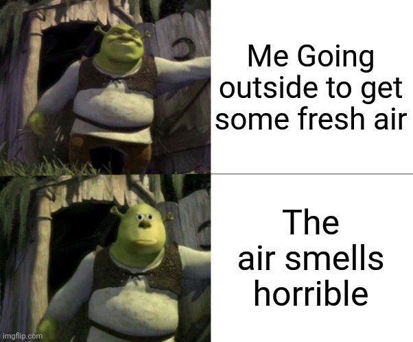 Is someone smoking or something? | Me Going outside to get some fresh air; The air smells horrible | image tagged in shocked shrek face swap,air,smell | made w/ Imgflip meme maker