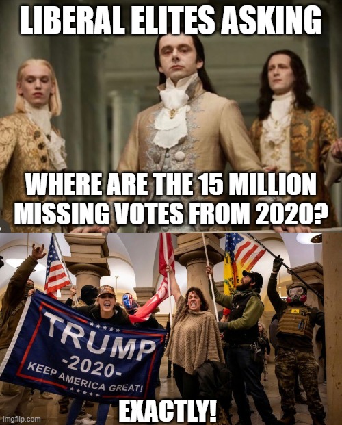 May not be such a "conspiracy theory" now, afterall. | LIBERAL ELITES ASKING; WHERE ARE THE 15 MILLION MISSING VOTES FROM 2020? EXACTLY! | image tagged in democrats,liberals,woke,leftists,election fraud,conspiracy theory | made w/ Imgflip meme maker