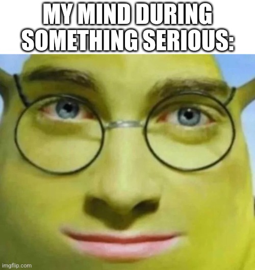 FR | MY MIND DURING SOMETHING SERIOUS: | image tagged in goofy ahh shrek | made w/ Imgflip meme maker