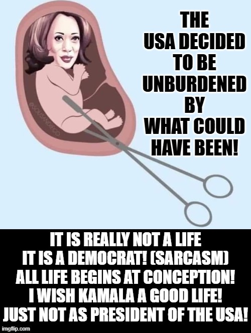 It is not a life, it is a Democrat!! (Sarcasm) | THE USA DECIDED TO BE UNBURDENED BY WHAT COULD HAVE BEEN! IT IS REALLY NOT A LIFE IT IS A DEMOCRAT! (SARCASM) ALL LIFE BEGINS AT CONCEPTION! I WISH KAMALA A GOOD LIFE! JUST NOT AS PRESIDENT OF THE USA! | image tagged in pro life | made w/ Imgflip meme maker