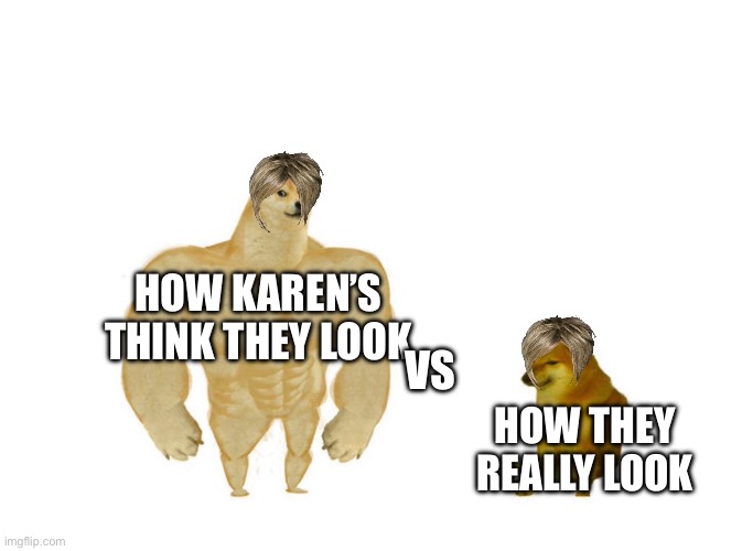 Karen’s be like | HOW KAREN’S THINK THEY LOOK; VS; HOW THEY REALLY LOOK | image tagged in dodge chad vs virgin | made w/ Imgflip meme maker