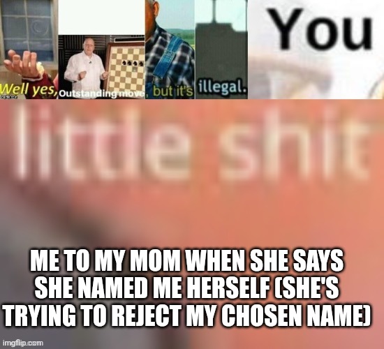 Well yes, outstanding move, but it’s illegal you little sh*t | ME TO MY MOM WHEN SHE SAYS SHE NAMED ME HERSELF (SHE'S TRYING TO REJECT MY CHOSEN NAME) | image tagged in well yes outstanding move but it s illegal you little sh t | made w/ Imgflip meme maker