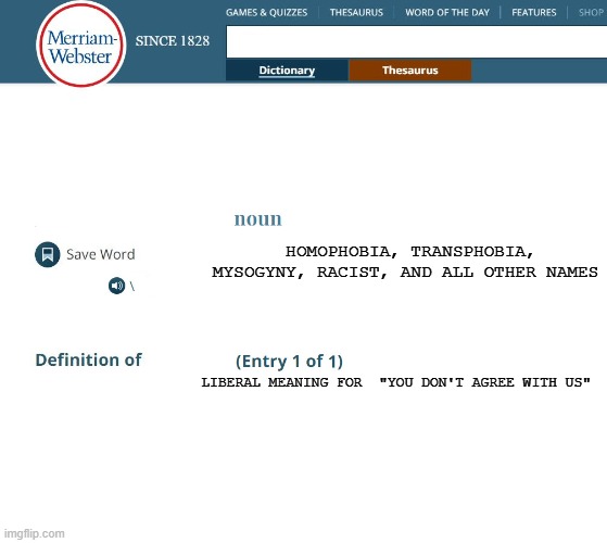 dictionary definition | HOMOPHOBIA, TRANSPHOBIA, MYSOGYNY, RACIST, AND ALL OTHER NAMES; LIBERAL MEANING FOR  "YOU DON'T AGREE WITH US" | image tagged in webster's dictionary | made w/ Imgflip meme maker