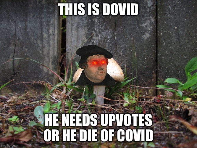 mushroom | THIS IS DOVID; HE NEEDS UPVOTES OR HE DIE OF COVID | image tagged in mushroom | made w/ Imgflip meme maker