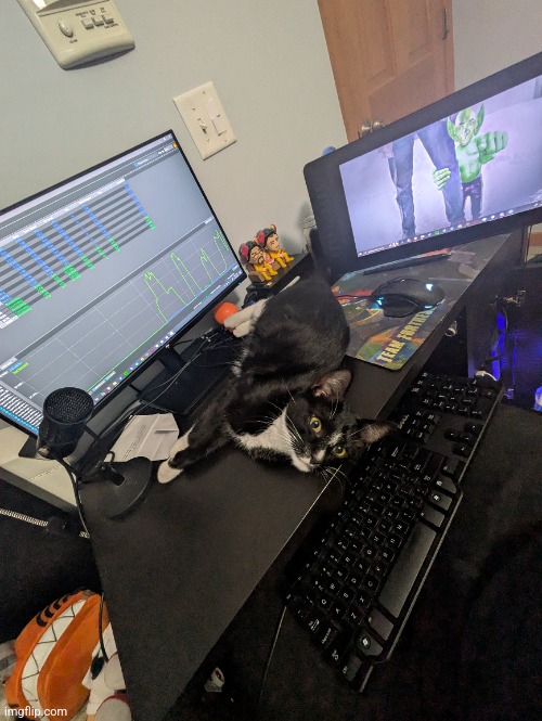 He has taken over my desk | made w/ Imgflip meme maker