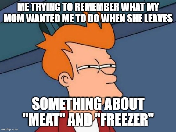 always remember guys | ME TRYING TO REMEMBER WHAT MY MOM WANTED ME TO DO WHEN SHE LEAVES; SOMETHING ABOUT "MEAT" AND "FREEZER" | image tagged in memes,futurama fry | made w/ Imgflip meme maker