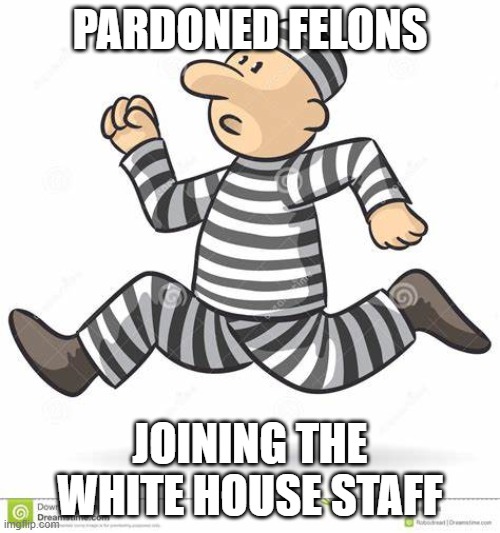 Pardoned felons | PARDONED FELONS; JOINING THE WHITE HOUSE STAFF | image tagged in politics | made w/ Imgflip meme maker