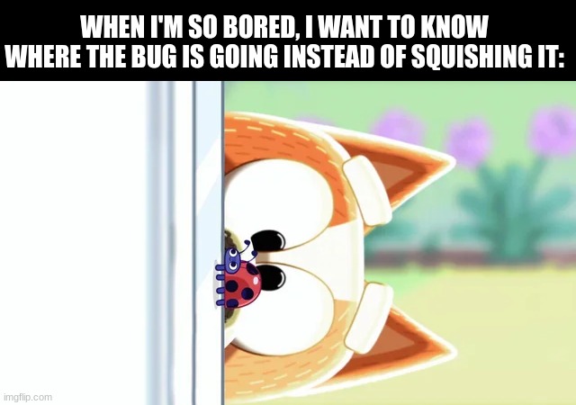 That outta kill some time | WHEN I'M SO BORED, I WANT TO KNOW WHERE THE BUG IS GOING INSTEAD OF SQUISHING IT: | image tagged in memes,funny,bluey,relatable | made w/ Imgflip meme maker