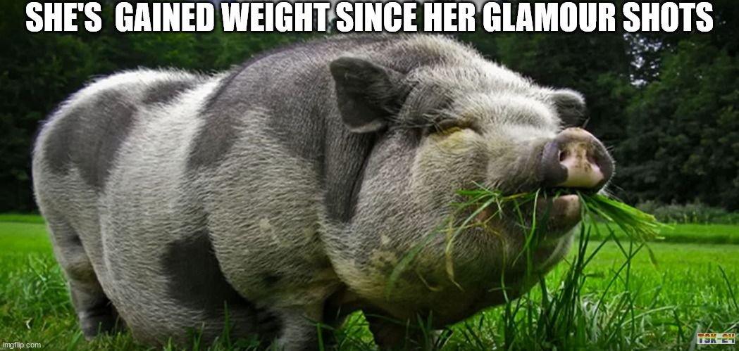 SHE'S  GAINED WEIGHT SINCE HER GLAMOUR SHOTS | made w/ Imgflip meme maker