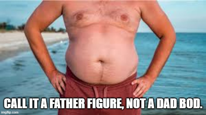 memes by Brad - It's a Father Figure, not a Dad Bod. - humor - | CALL IT A FATHER FIGURE, NOT A DAD BOD. | image tagged in funny,fun,dad joke,humor,body | made w/ Imgflip meme maker