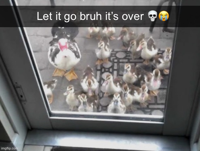 Let it go bruh it’s over 💀😭 | made w/ Imgflip meme maker