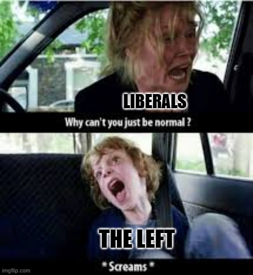 Why cant you just be normal? | LIBERALS; THE LEFT | image tagged in why cant you just be normal | made w/ Imgflip meme maker