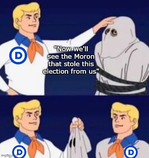 Self Awareness, is a real thing BTW | "Now we'll see the Moron that stole this election from us" | image tagged in reveal dem loss meme | made w/ Imgflip meme maker