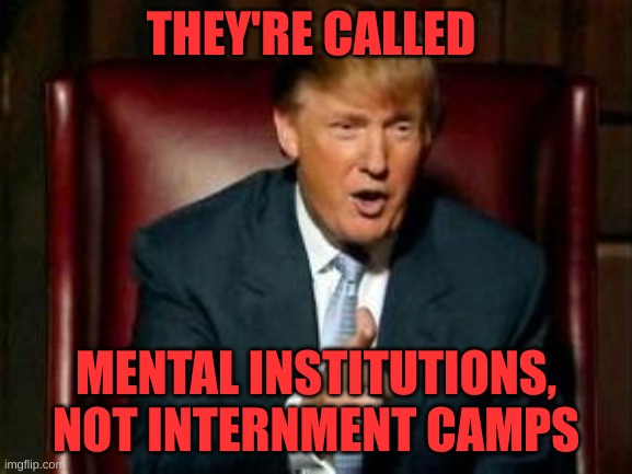 Donald Trump | THEY'RE CALLED MENTAL INSTITUTIONS, NOT INTERNMENT CAMPS | image tagged in donald trump | made w/ Imgflip meme maker