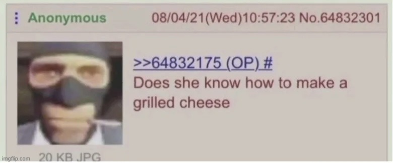 image tagged in does she know how to make a grilled cheese | made w/ Imgflip meme maker