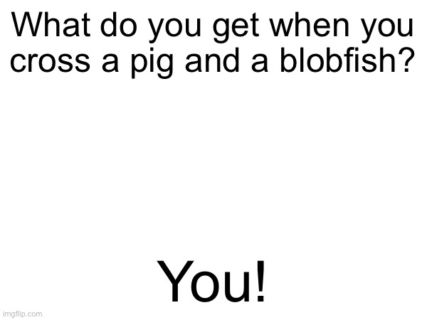 What do you get when you cross a pig and a blobfish? You! | image tagged in memes,funny,funny memes,msmg,jokes,fun | made w/ Imgflip meme maker